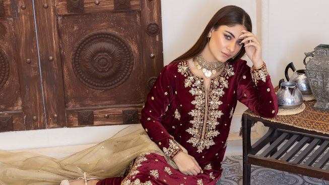 Maroon velvet embroidered dress