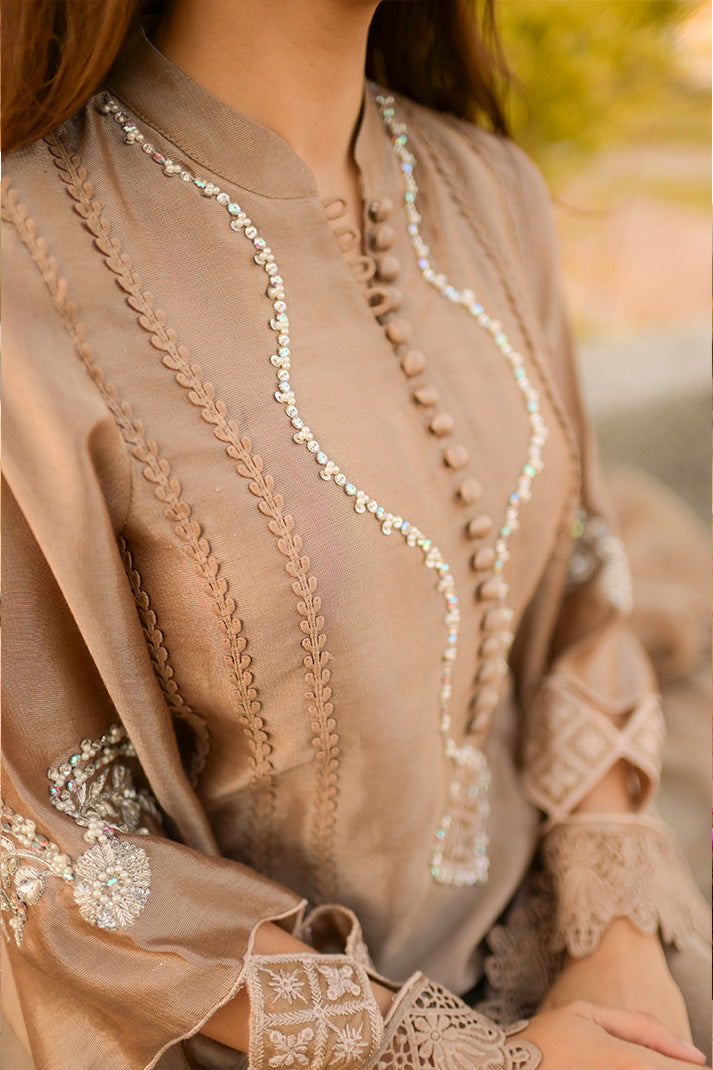 TAUPE| FESTAL