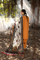 MIRK PALACH SHAWL COLLECTION - MK - 09
