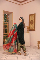 Raqas e Ashna