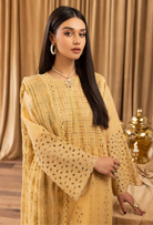 Elegant Chikankari - D02