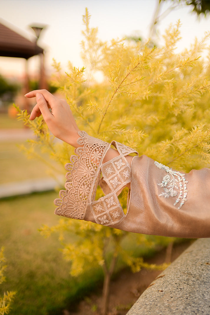 TAUPE| FESTAL