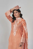 3PC Stitched Embroidered Lawn Suit KL-RTW-3081 KHAS STORES 