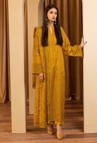 Elegant Chikankari - D05