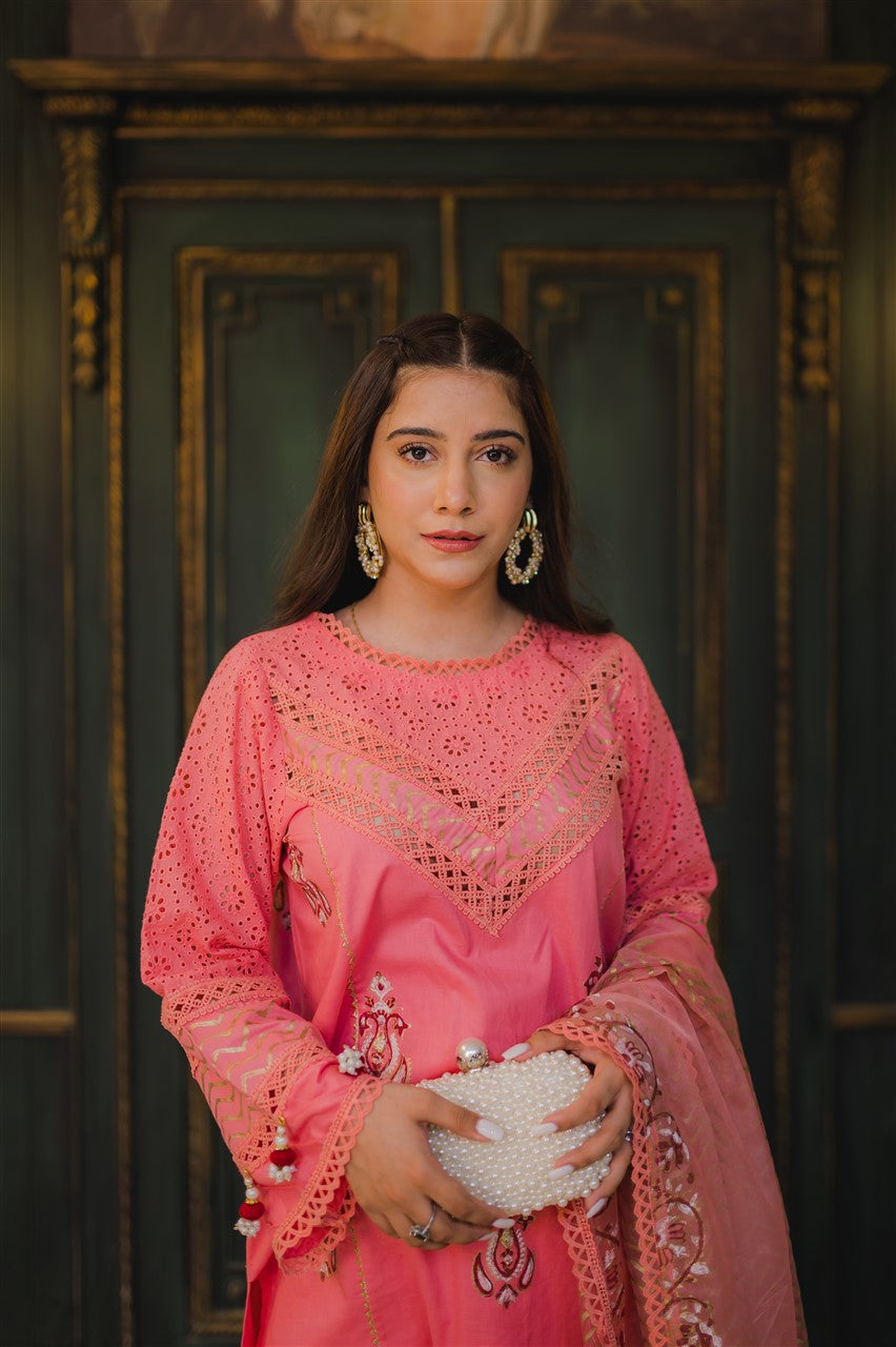 CORAL STAR|BLOCK KARI | RJS PRET